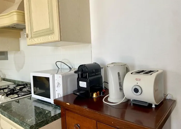 The Little Eagle - With Terrace Apartament